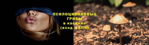 соль ск Майский